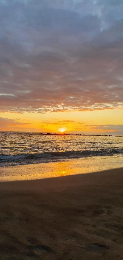 Vistasalsol Tenerife أرونا المظهر الخارجي الصورة